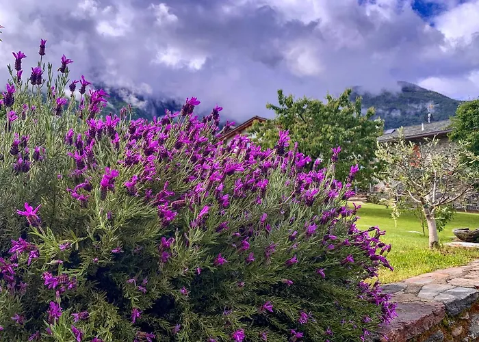 La Volta - Historic Molino Maufet Watermill - Дом отдыха Колико