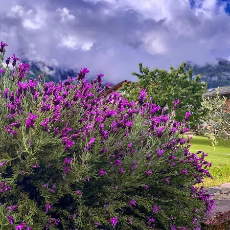 La Volta - Historic Molino Maufet Watermill - Holiday home Colico