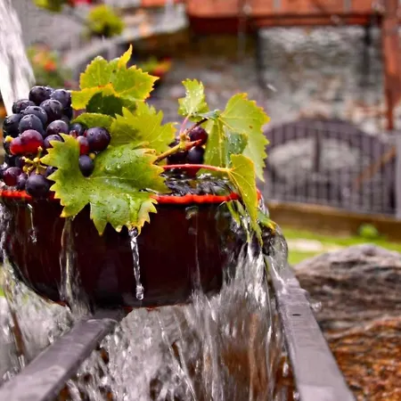 La Volta - Historic Molino Maufet Watermill -